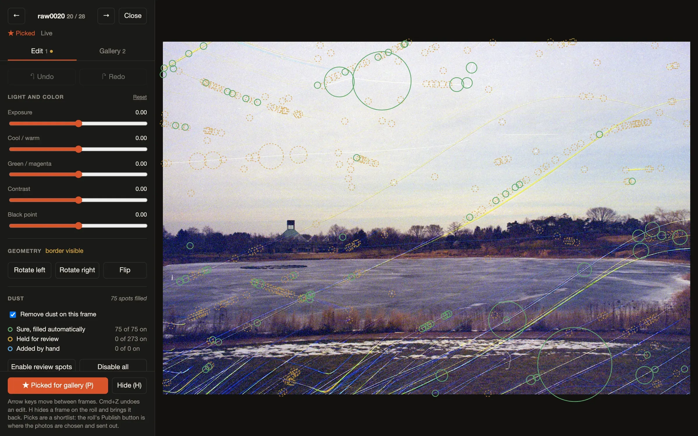 The frame review screen in studio: a frozen lake under a pale sky, covered in circles marking dust and scratches, with sliders and dust counts in a panel on the left.